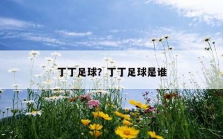 丁丁足球？丁丁足球是誰