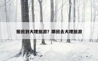 報團到大理旅游？跟團去大理旅游