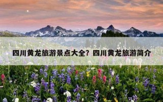 四川黃龍旅游景點大全？四川黃龍旅游簡介