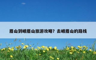 眉山到峨眉山旅游攻略？去峨眉山的路線