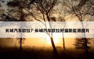 長城汽車歐拉？長城汽車歐拉好貓新能源圖片