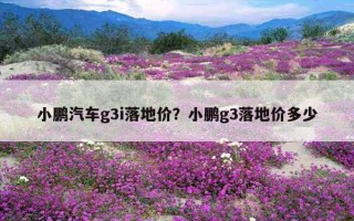 小鵬汽車g3i落地價？小鵬g3落地價多少