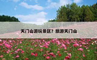 天門山游玩景區？旅游天門山