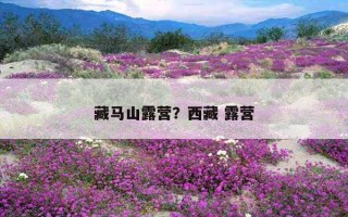 藏馬山露營？西藏 露營