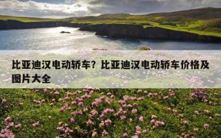 比亞迪漢電動轎車？比亞迪漢電動轎車價格及圖片大全
