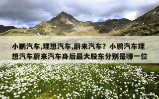 小鵬汽車,理想汽車,蔚來汽車？小鵬汽車理想汽車蔚來汽車身后最大股東分別是哪一位