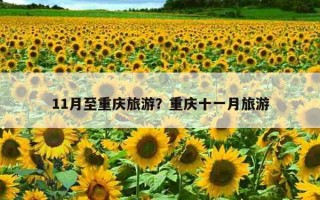 11月至重慶旅游？重慶十一月旅游