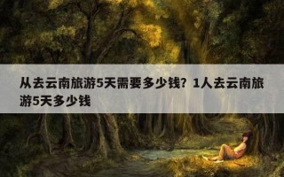 從去云南旅游5天需要多少錢？1人去云南旅游5天多少錢