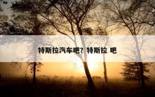 特斯拉汽車吧？特斯拉 吧