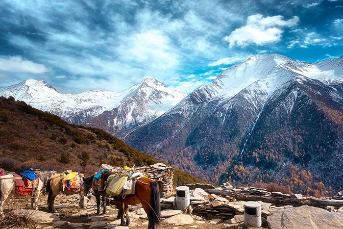 自駕旅游 (3).jpg